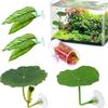 Betta Fish Leaf Pad - 5 Pack view 3