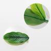 Betta Fish Leaf Pad - 5 Pack view 4