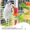 ZFRITP 2-Pack Bird Feeder Sticks view 3