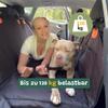 Snrtevu Car Dog Mat with Hard Base, Waterproof and Scratch-Resistant, 2 Safety Belts, Black and Orange view 4