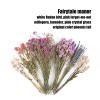 Natural Dried Flower Bedding for Hamsters view 3