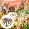 Natural Dried Flower Bedding for Hamsters view 4