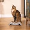 Beeztees Star Cat Scratching Board view 3