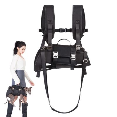Dog Harness for Support
