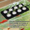 Aquarium Plant Holder for Hydroponic Plants view 3