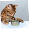 VERDANVERSE Cat Bowl Mat Silicone Non-Slip Blue view 2