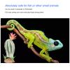 Zerodis Artificial Cactus Plant view 3