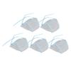 5-Piece Hair Highlighting Cap with Plastic Hooks for Salon and Home Use view 2