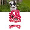 Dog Harness, Leash and Vest for Small to Medium Dogs, Including Puppies, with Breathable Design view 3