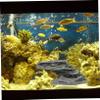 FONDOTIN Turtle Dock Sun and Climbing Platform for Aquariums view 4