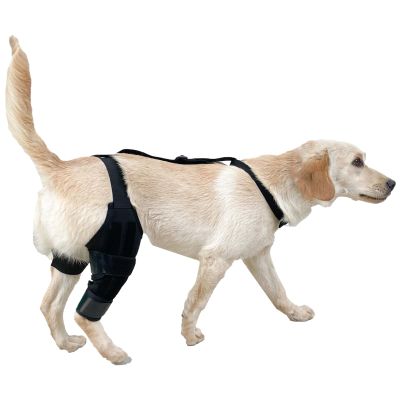 Dog Leg Brace with Adjustable Strap