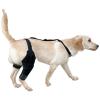 Dog Leg Brace with Adjustable Strap view 1