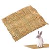 Grass Mat for Cats view 2