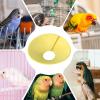 Soft Recovery Collar for Birds view 2