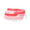 TOYANDONA Thick, Washable Pet Mat for Cats and Dogs, Breathable and Soft for Fall and Winter view 4