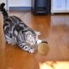 Natural Sisal Cat Ball with Sound view 2