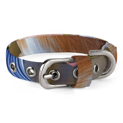 Safe Personalized Dog Collar Eastern Bluebird Adjustable Pet Collar for Medium and Small Dogs and Cats