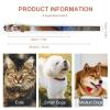 Safe Personalized Dog Collar Eastern Bluebird Adjustable Pet Collar for Medium and Small Dogs and Cats view 2