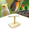 Natural Wood Bird Perch view 3