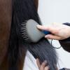 Horse Mane and Tail Brush view 2