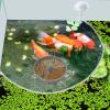 Feeding Ring - Lightweight Foam Circle view 4