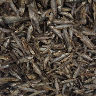 Dried Fish for Dogs, Cats, Turtles & Aquariums, 2 kg