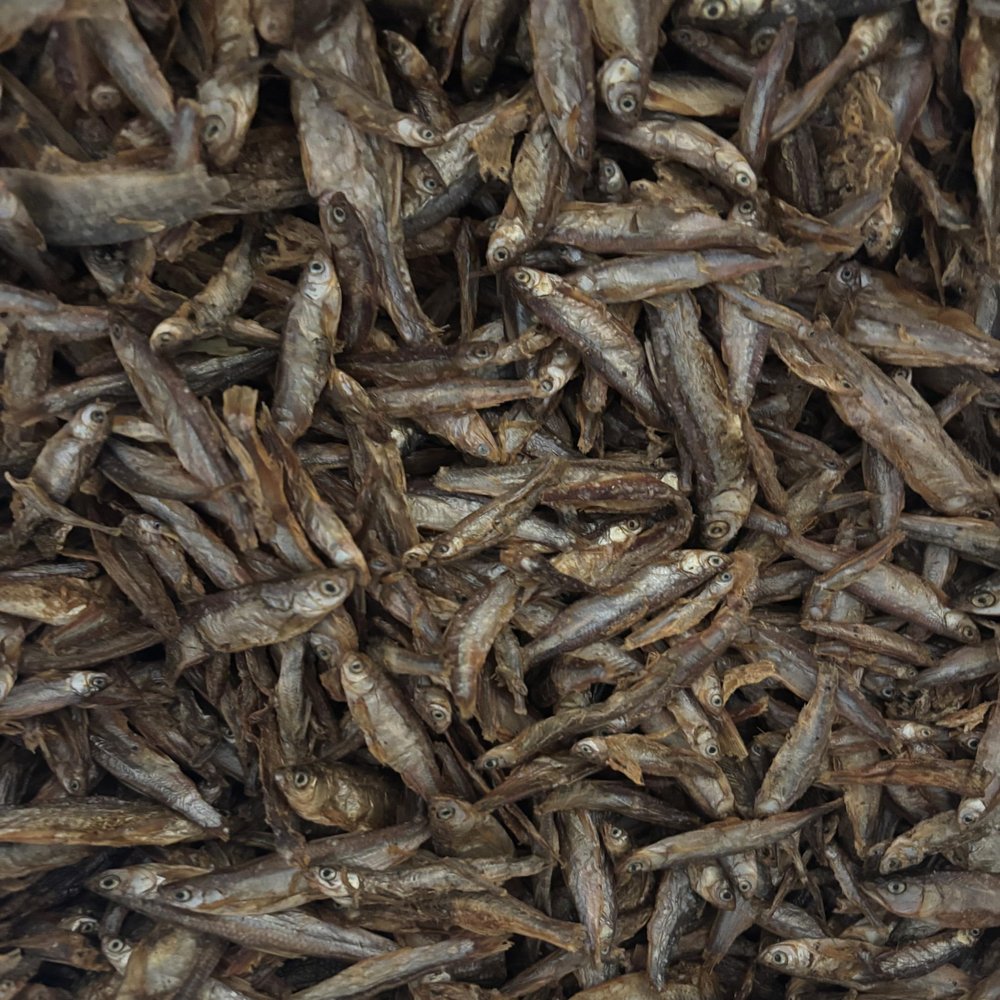 Dried Fish for Dogs, Cats, Turtles & Aquariums, 2 kg