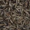 Dried Fish for Dogs, Cats, Turtles & Aquariums, 2 kg view 1