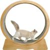 Cat Training Wheel for Indoor Cats view 1