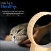 Cat Training Wheel for Indoor Cats view 2