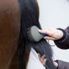 23 cm Horse Mane and Tail Brush, 1-Piece, Random Color view 4