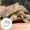 Reptile Incubator Box for Eggs view 3