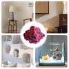 Natural Decorative White Aquarium Gravel view 4