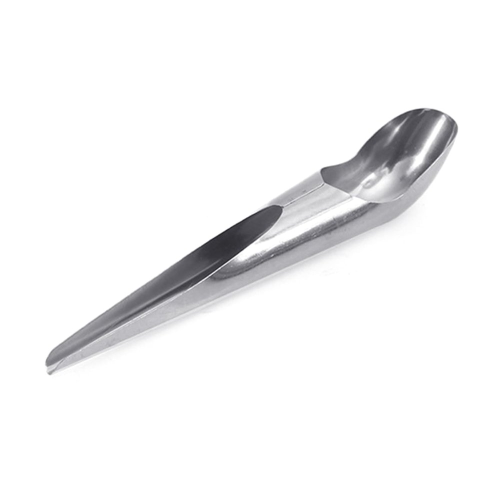 Large Stainless Steel Spoon for Parrots and Pet Birds