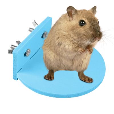 Hamster Station for Small Animal Cages