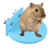 Hamster Station for Small Animal Cages view 1