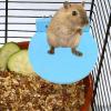 Hamster Station for Small Animal Cages view 2