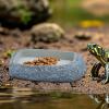 Snake Water Bowl Corner Resin Feeding Dish view 3
