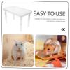 Hamster Platform Crystal Stand with Four Legs, Removable Plastic view 4