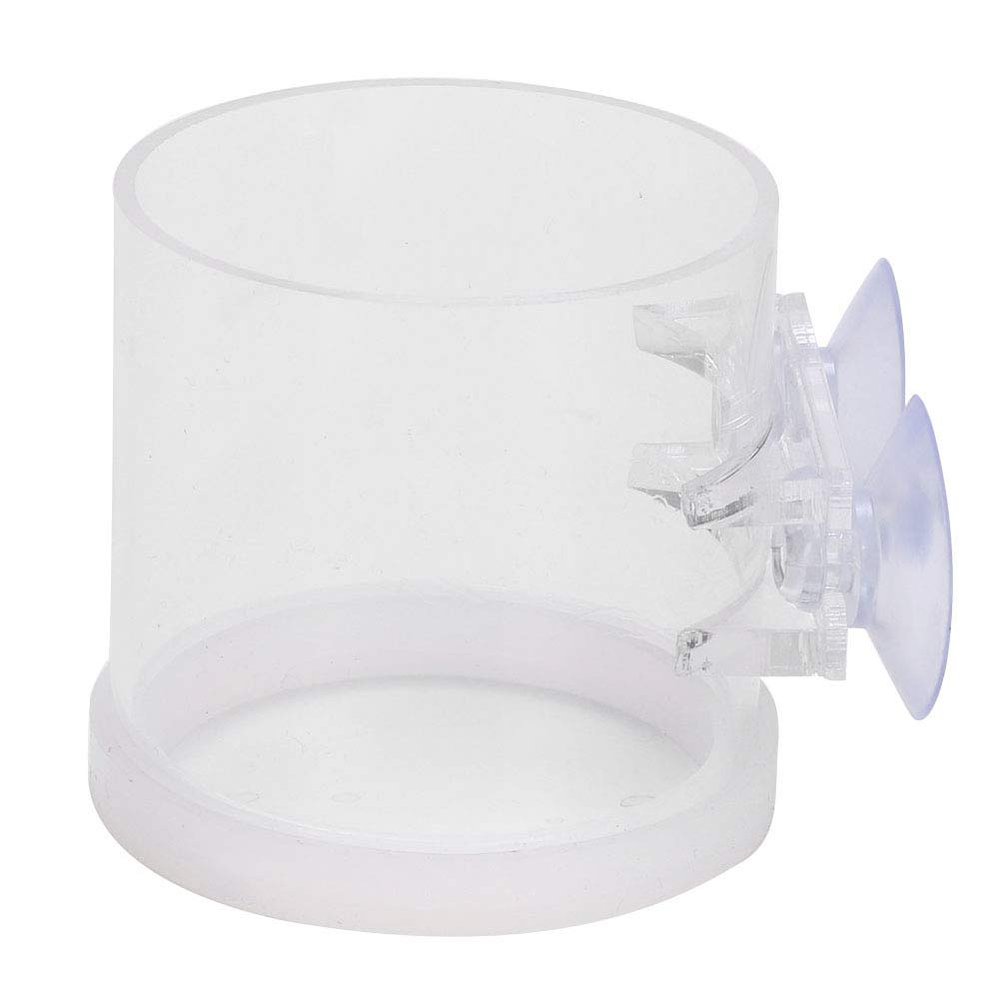 Transparent Acrylic Fish Food Feeder with Suction Cup