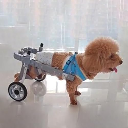 Adjustable Two-Wheel Dog Wheelchair with Reflective Strips