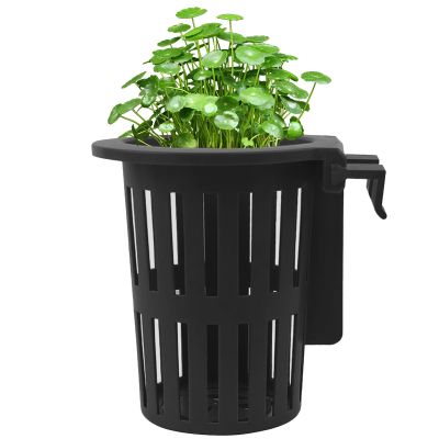 Generic Aquarium Plant Holder