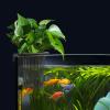 Generic Aquarium Plant Holder view 3
