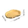 Turtle Feeding Bowl - Portable Simulation Feeder view 2