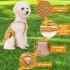 Reusable Dog Diapers for Female Dogs - Adjustable (Gray L) view 3