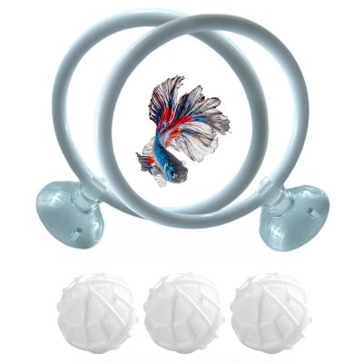 Betta Fish Training Ring