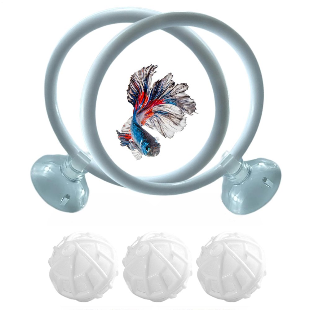 Betta Fish Training Ring