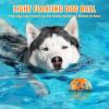 Dog Ball Toy - High Elasticity for Large Breeds view 2