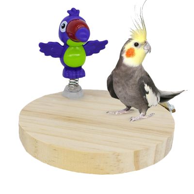 Bird Perch for Large Birds