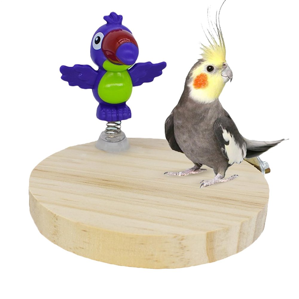 Bird Perch for Large Birds